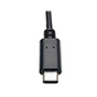 Image of Tripp Lite's USB-C